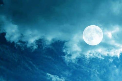 آموزش طراحی صحنه شکار کوسه در فتوشاپ